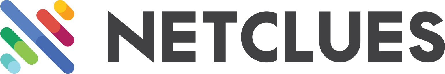 Netlues Secure Payment System